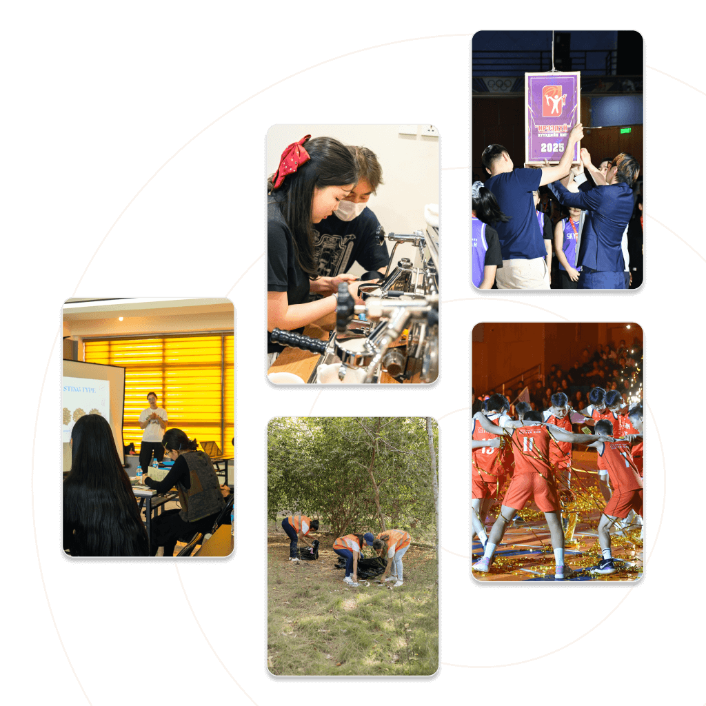 Projects and programs